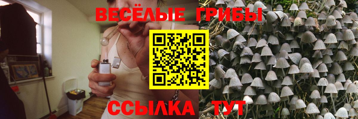 Псилоцибиновые грибы мухоморы  Псилоцибиновые грибы MAGIC MUSHROOMS  Калуга  наркошоп  Вход с VPN 
