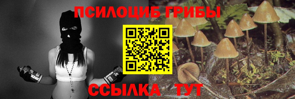 Галлюциногенные грибы прущие грибы Калуга